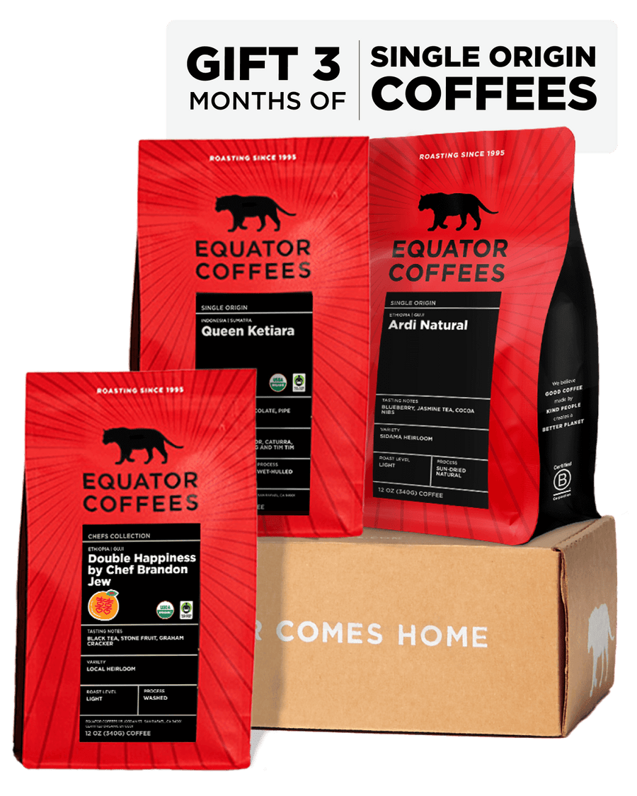 Gift a Coffee Subscription | Coffee Gift Subscription | Three Coffees for Three Months | Gift Single Origin Coffee | Equator Coffees