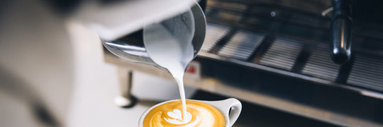 How to Steam Milk for a Latte | Equator Coffees