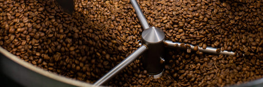 Coffee Roast Levels Explained | Equator Coffees