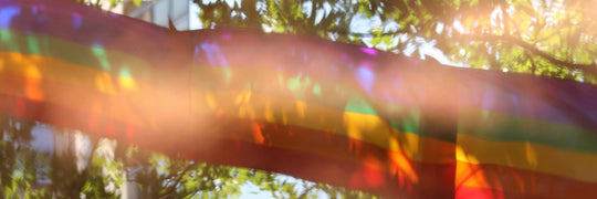Four LGBTQ+ Organizations to Support this June