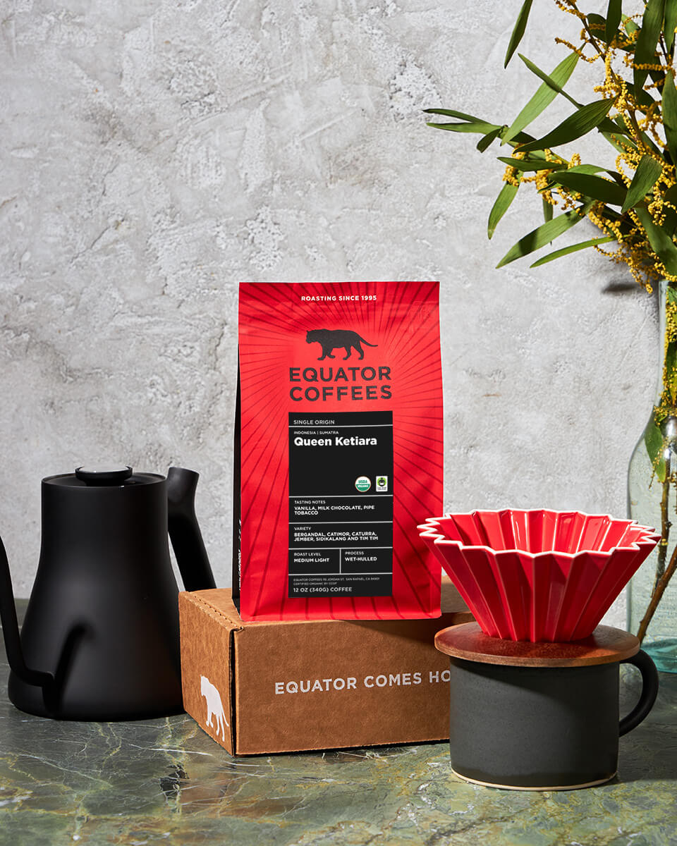 New Arrivals - Equator Coffees