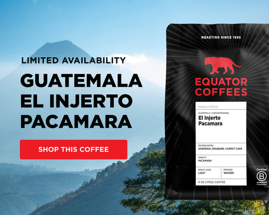 Limited Availability: Guatemala El Injerto Pacamara | Experience a floral and creamy light roast from our 15+ year Guatemalan producer partners, whose profound commitment to sustainable agriculture continues to inspire us | Mobile Banner | Equator Coffees