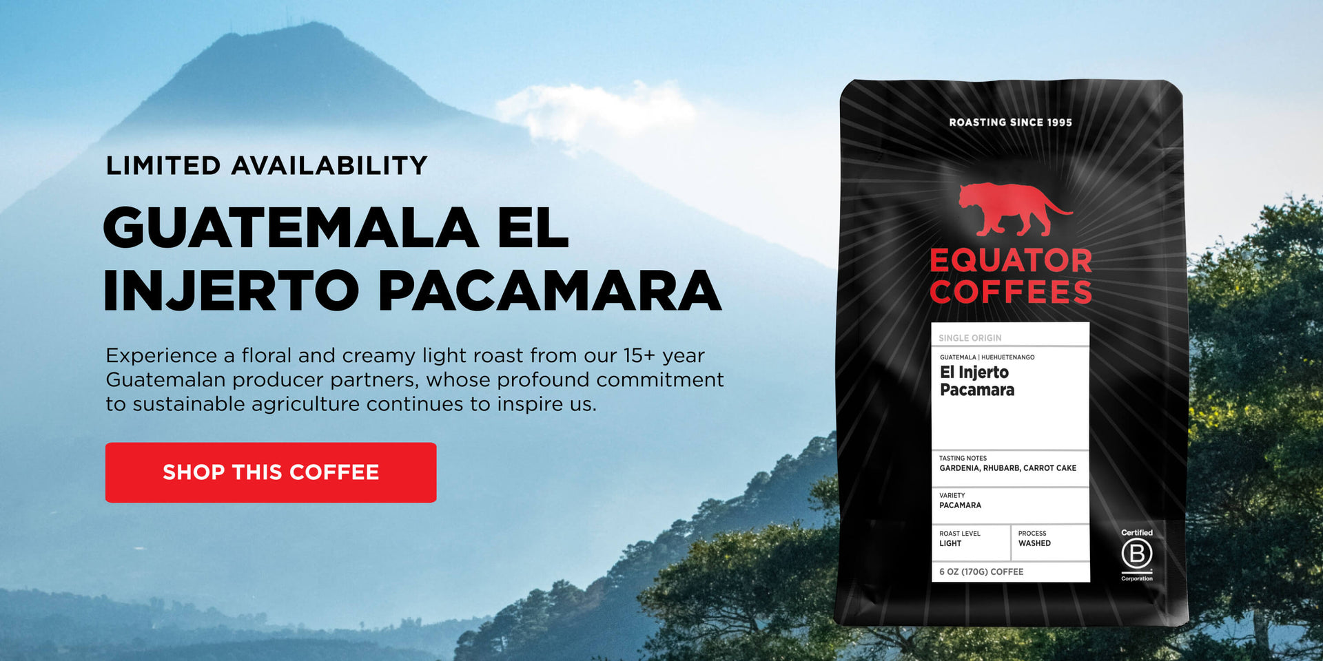 Limited Availability: Guatemala El Injerto Pacamara | Experience a floral and creamy light roast from our 15+ year Guatemalan producer partners, whose profound commitment to sustainable agriculture continues to inspire us | Desktop Banner | Equator Coffees