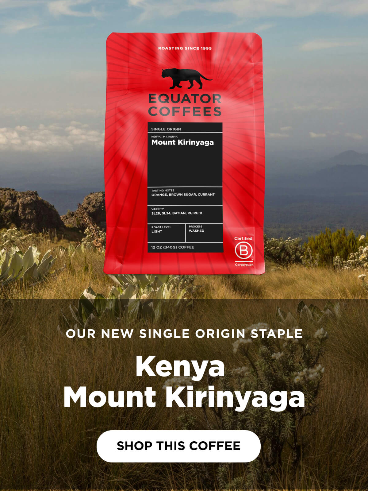 Our New Single Origin Staple | Kenya Mount Kirinyaga | Mobile Banner | Equator Coffees