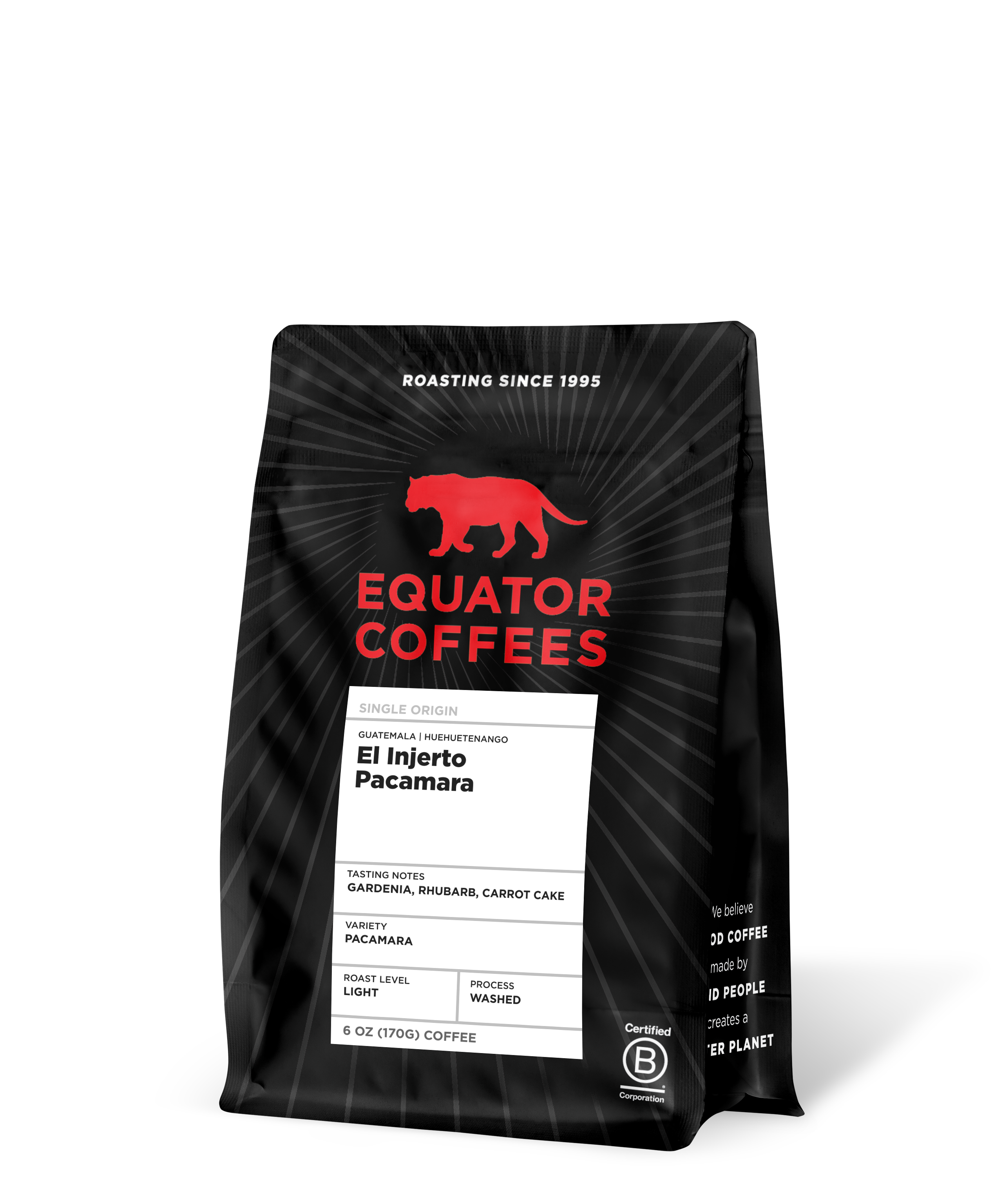 Guatemala El Injerto Pacamara | 6oz bag of whole bean coffee | Equator Coffees