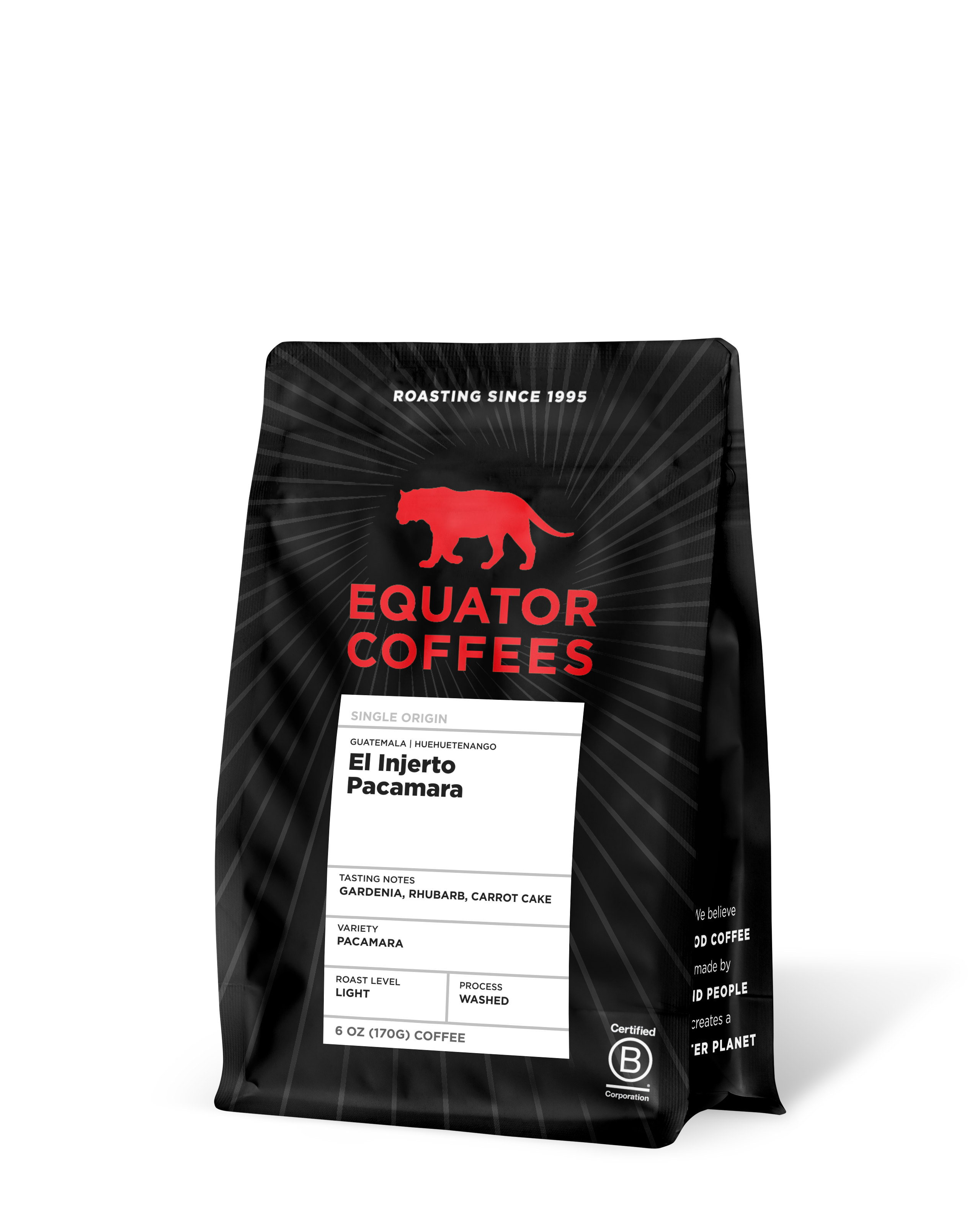 Guatemala El Injerto Pacamara