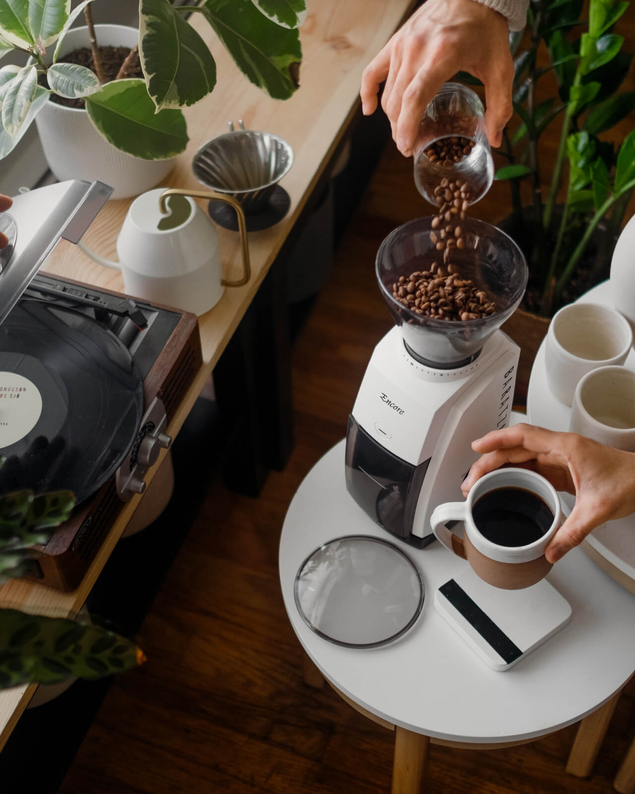 Grinding fresh coffee at home with the Baratza Encore | Equator Coffees