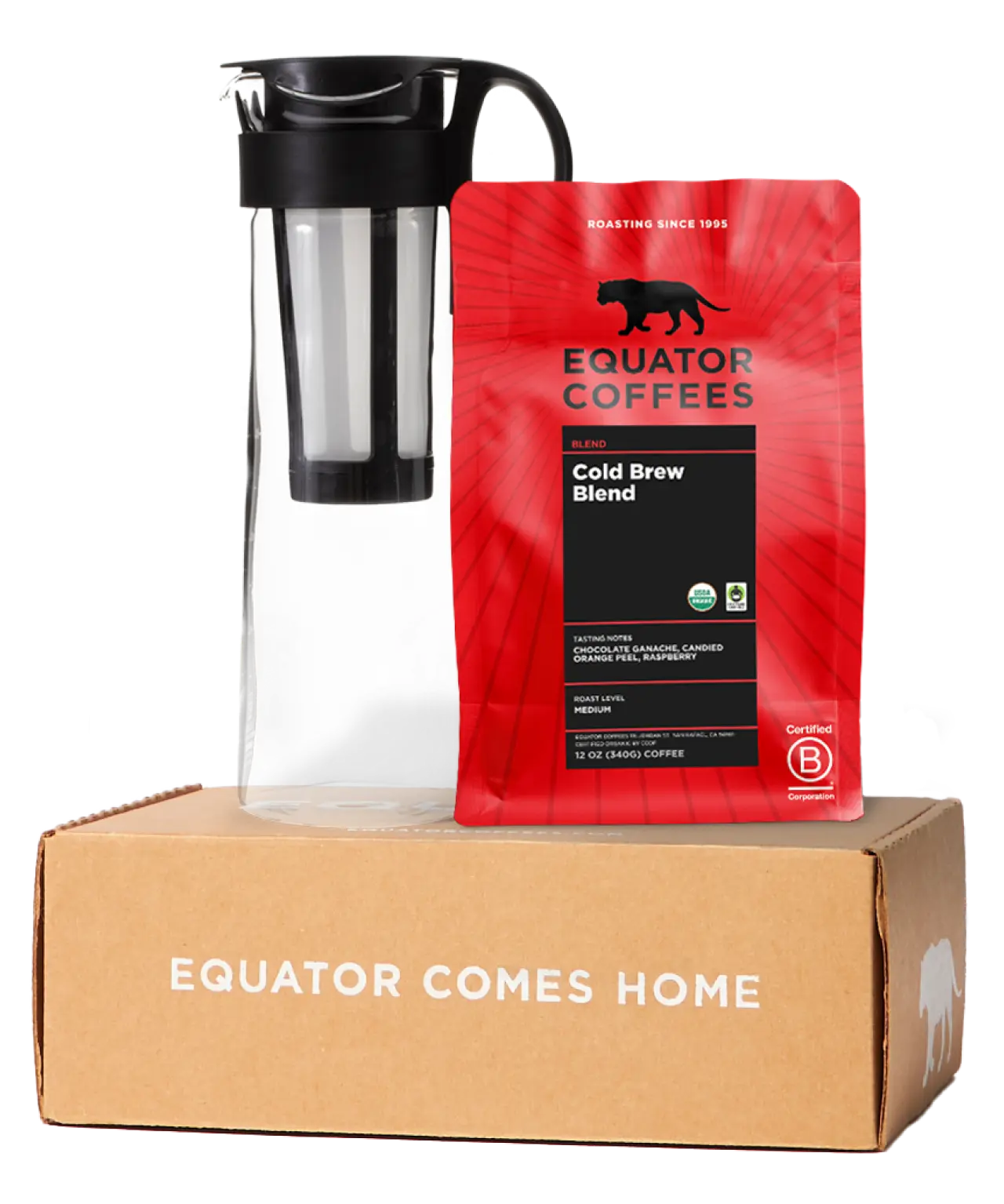 Cold Brew Starter Kit | 12oz Bag of Coarse Ground Coffee with Hario Mizudashi | Equator Coffees