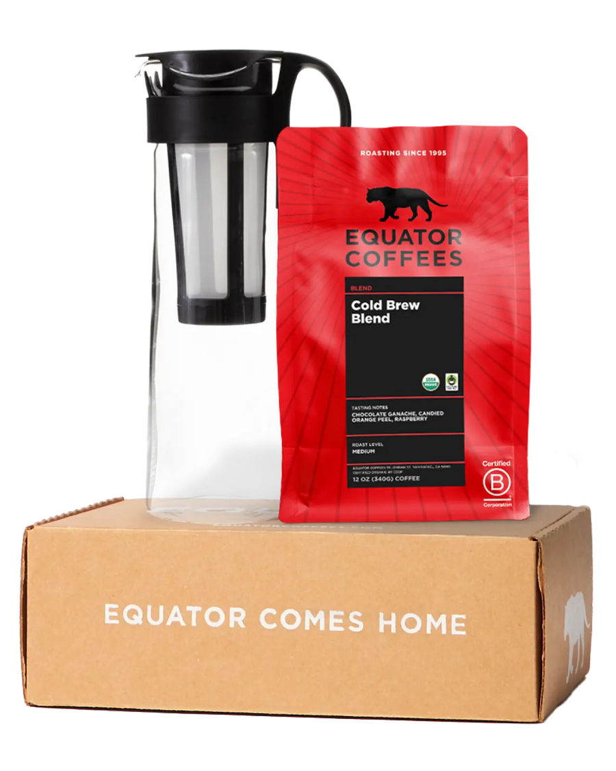 Cold Brew Starter Kit | 12oz Bag of Coarse Ground Coffee with Hario Mizudashi | Equator Coffees