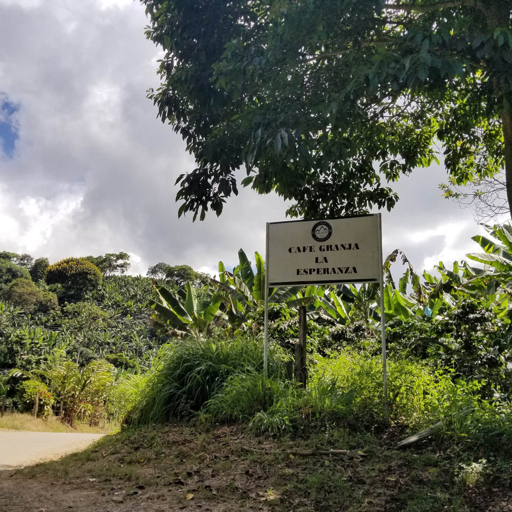 Café Granja La Esperanza
