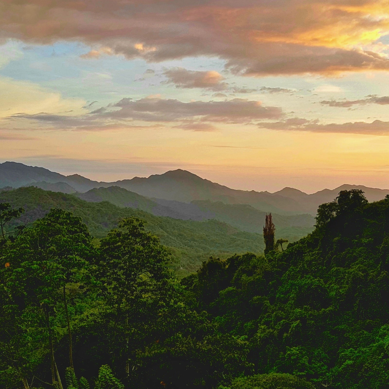 Sunset over a mountain range and coffee farms in Colombia
