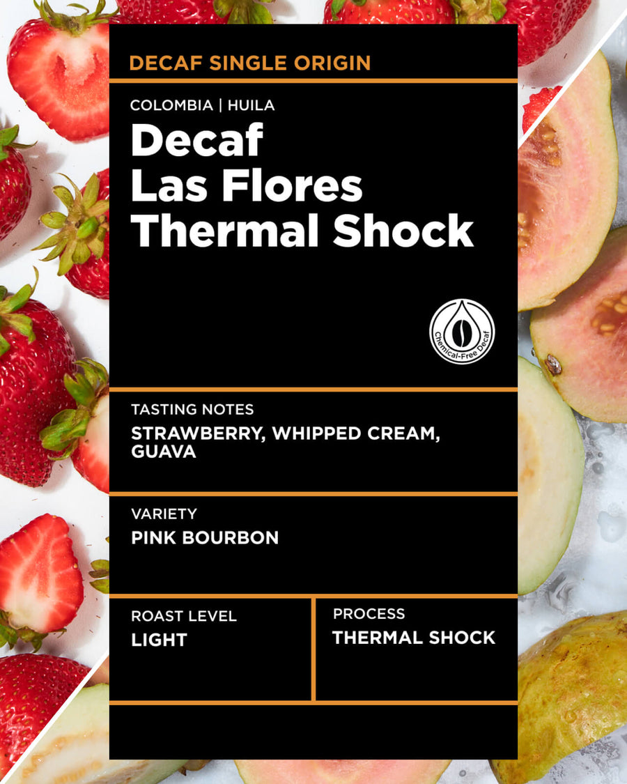 Decaf Colomba Las Flores Thermal Shock | Light Roast Decaf Single Origin Coffee | Equator coffees