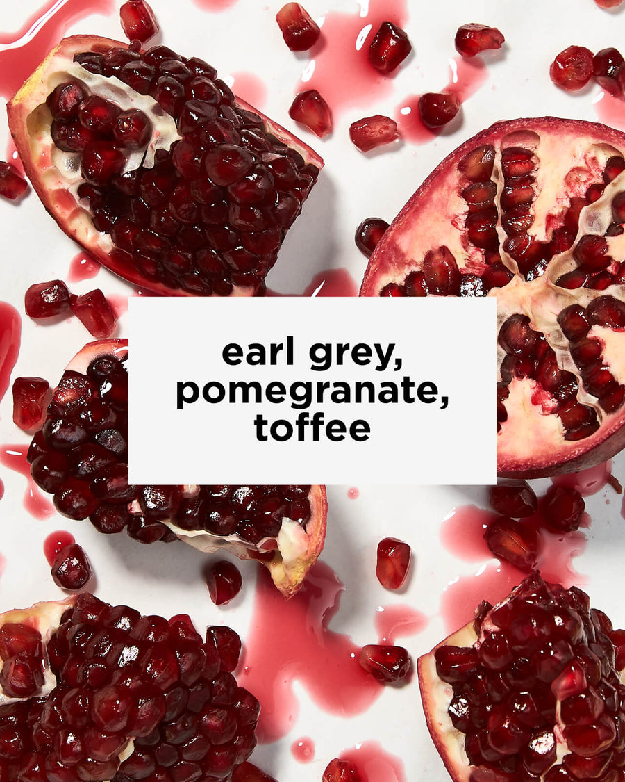 Decaf Ethiopia Worku Buche | Decaffeinated Coffee | Ethiopia Decaf Single-Origin | Ethiopia Sidama Decaf | Tastes like earl grey, pomegranate, toffee | Equator Coffees