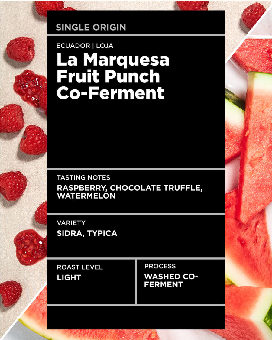 Ecuador La Marquesa Fruit Punch Co-Ferment | Single Origin Light Roast Coffee | Equator Coffees