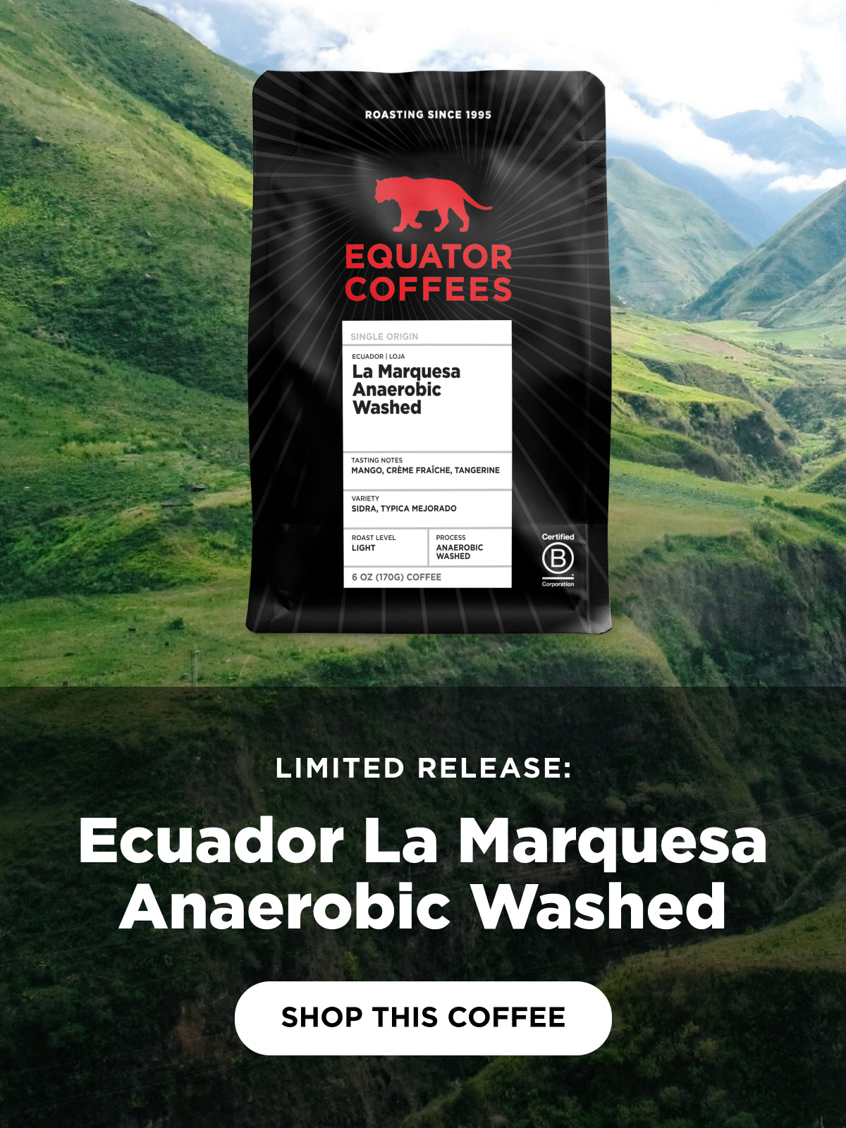 Limited Release: Ecuador La Marquesa Anaerobic Washed | Mobile Banner | Equator Coffees