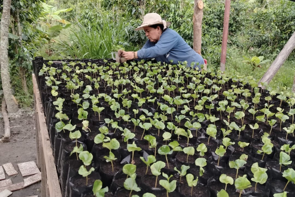 Ximena Mónica León Toledo & Hubert Ontaneda, Ecuador