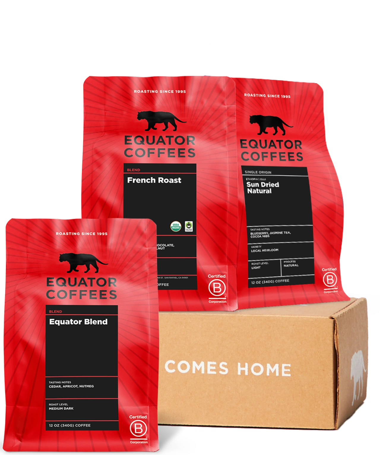 Essential Equator Coffee Set | Three 12oz Bags of Whole Bean Coffee | Equator Coffees