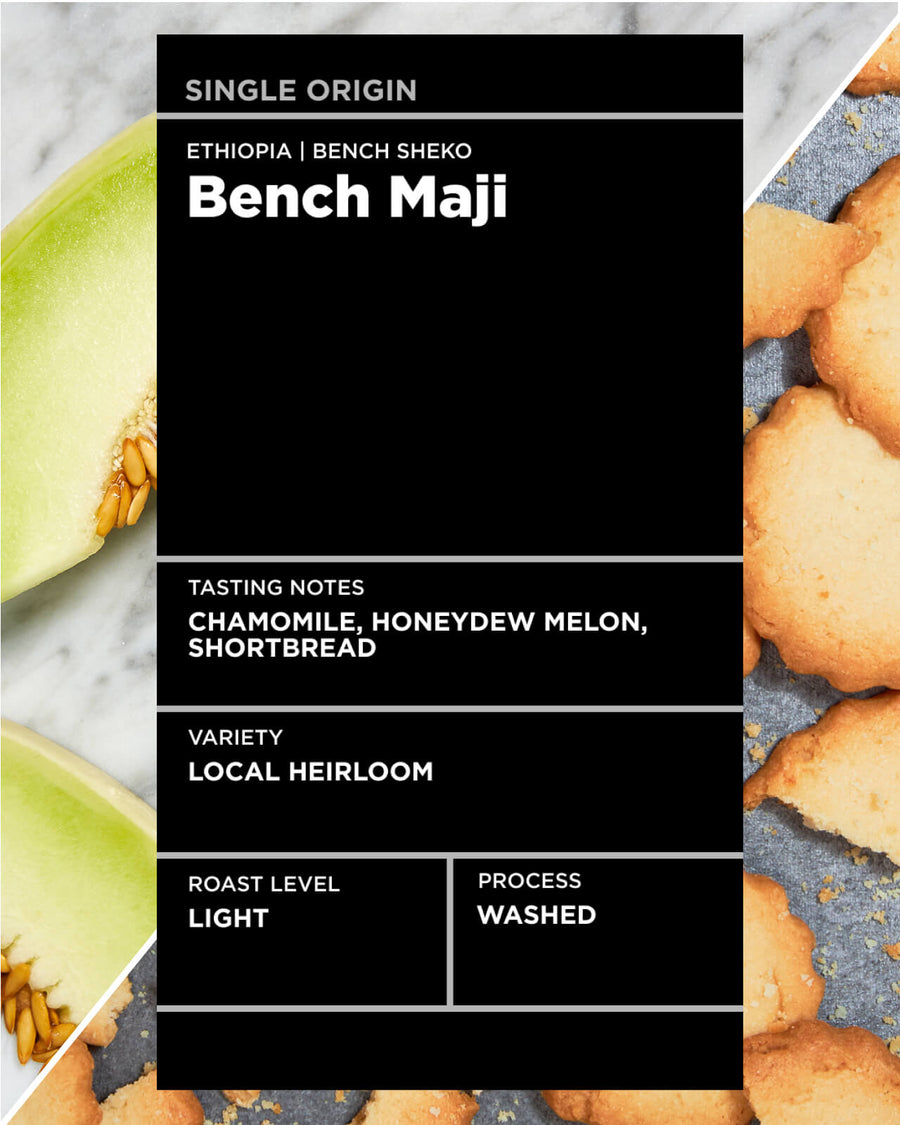 Ethiopia Bench Maji | light roast single origin coffee | Equator Coffees
