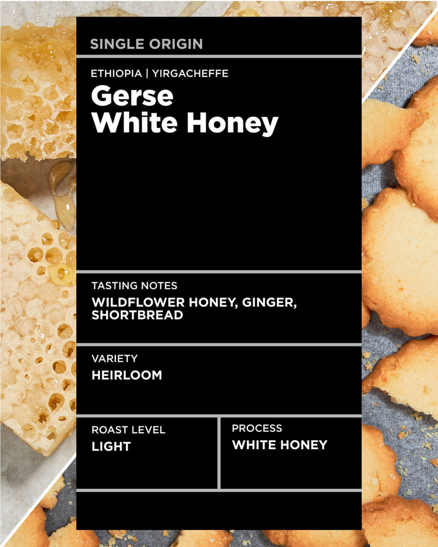 Ethiopia Gerse White Honey