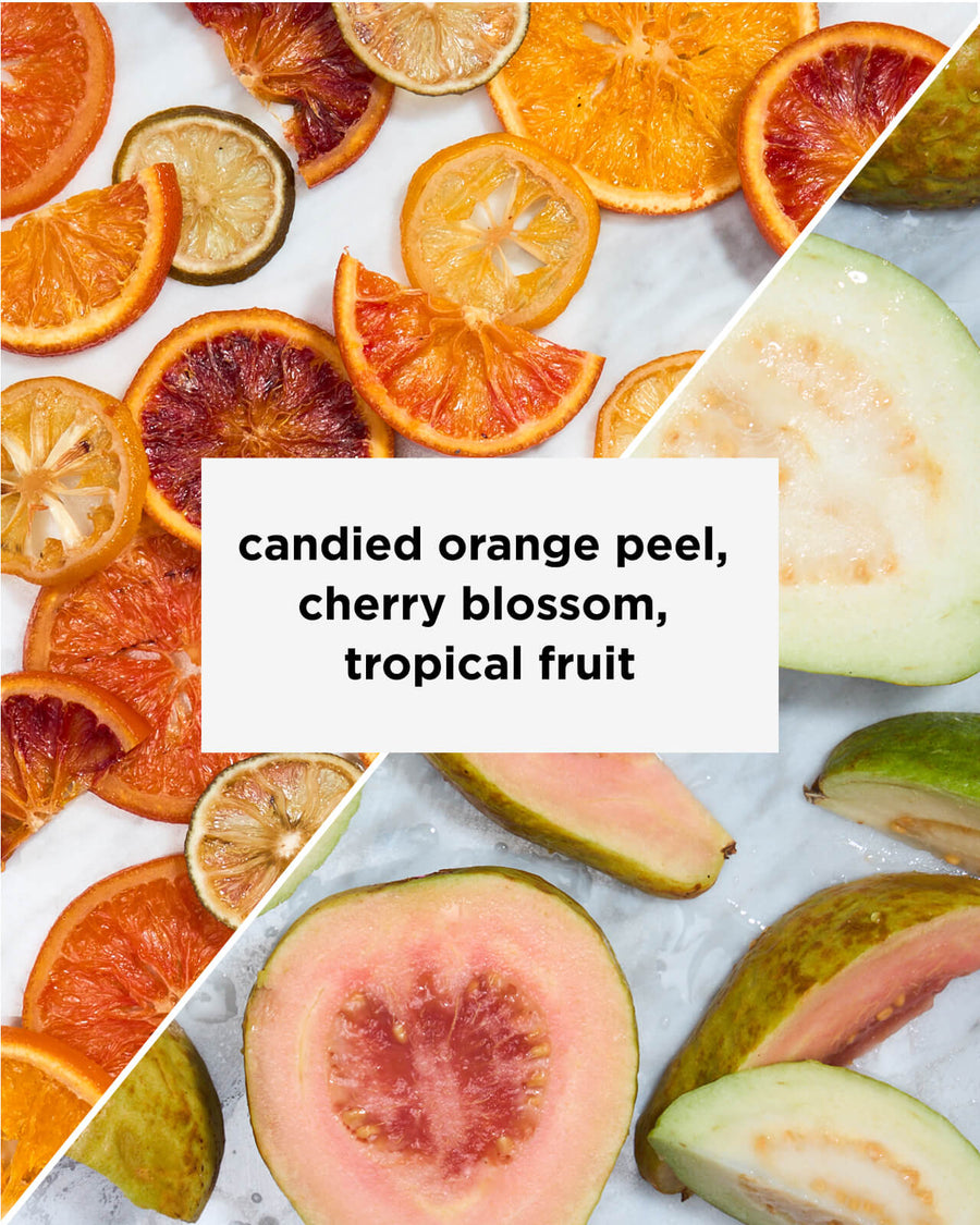 Ethiopia Suke Quto Organic