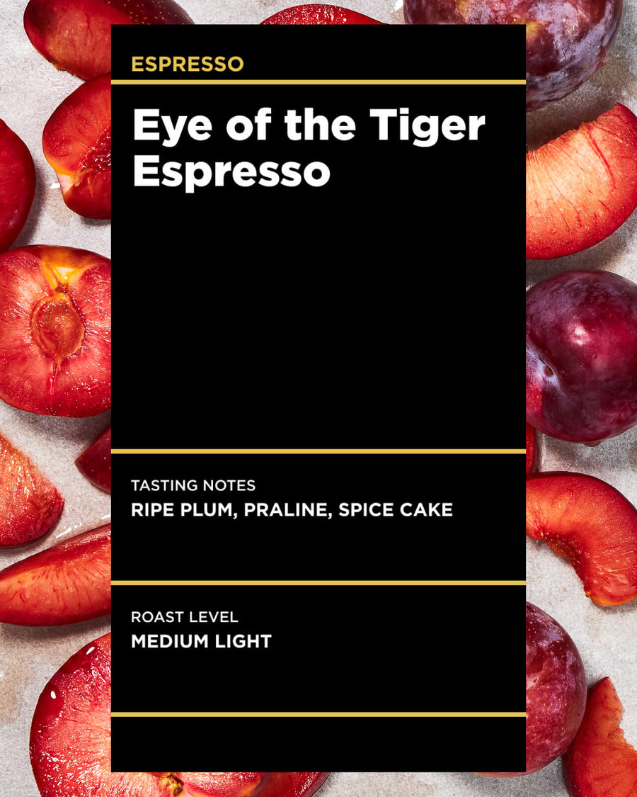 Eye of the Tiger Espresso | Seasonal Espresso | Fruity Espresso | Medium Light Roast Espresso | Equator Coffees