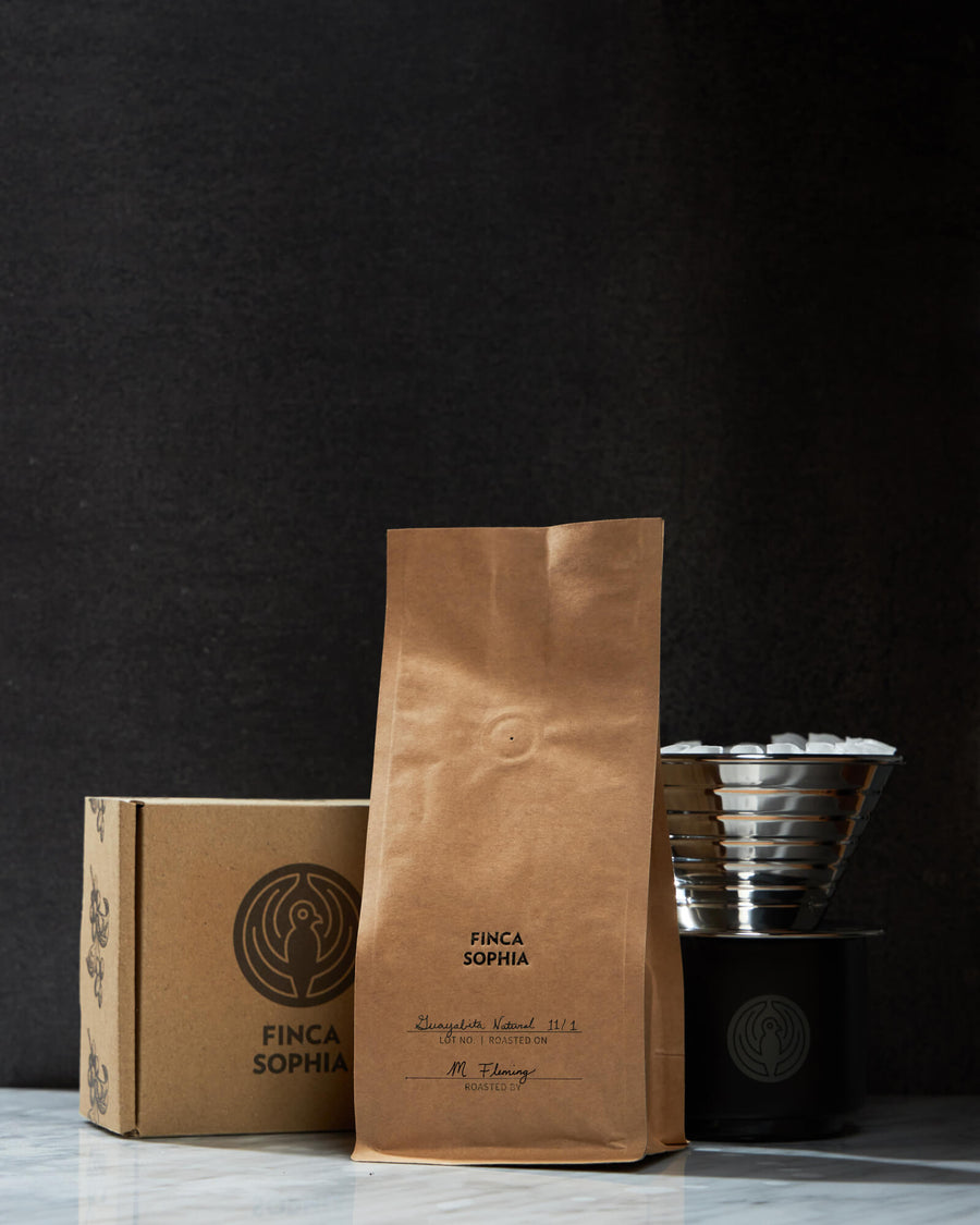 Panama Finca Sophia Guayabita Natural
