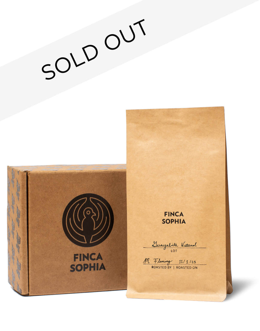 Panama Finca Sophia Guayabita Natural