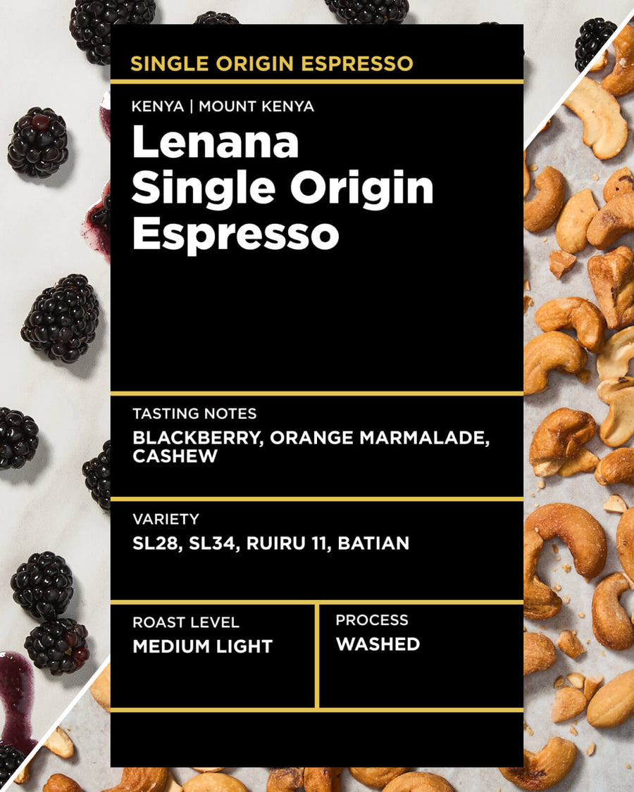 Kenya Lenana Single Origin Espresso | Medium light roast single origin coffee | Equator Coffees