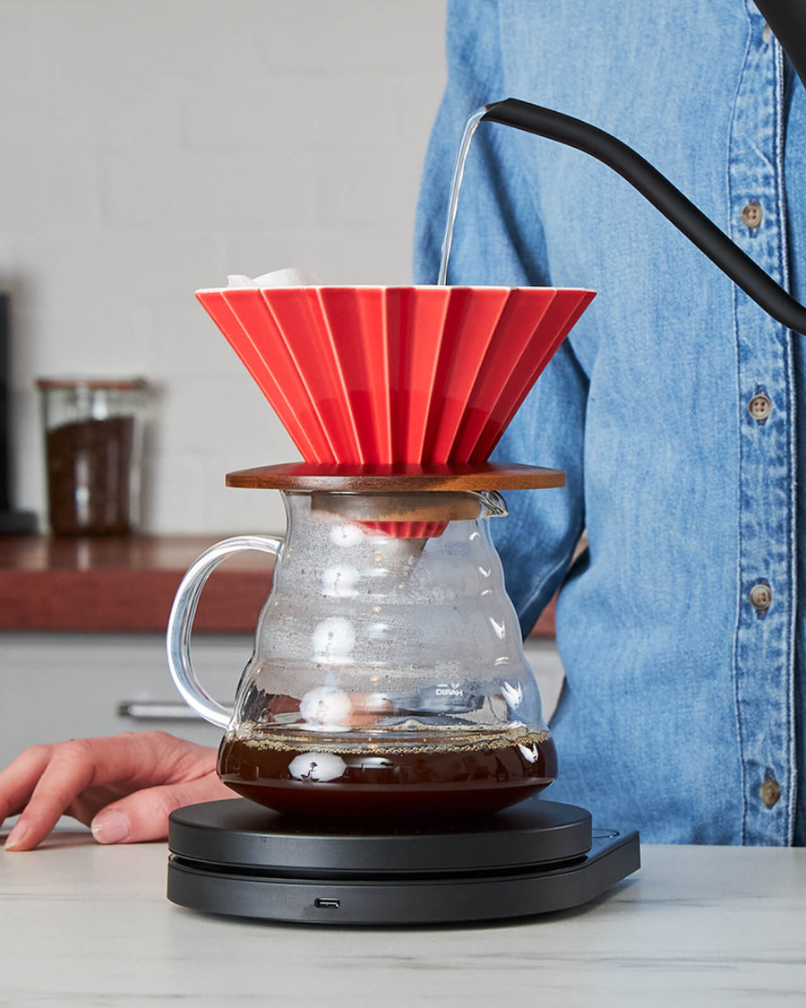 Origami Dripper Set | Making Pourover Coffee at Home | Equator Coffees