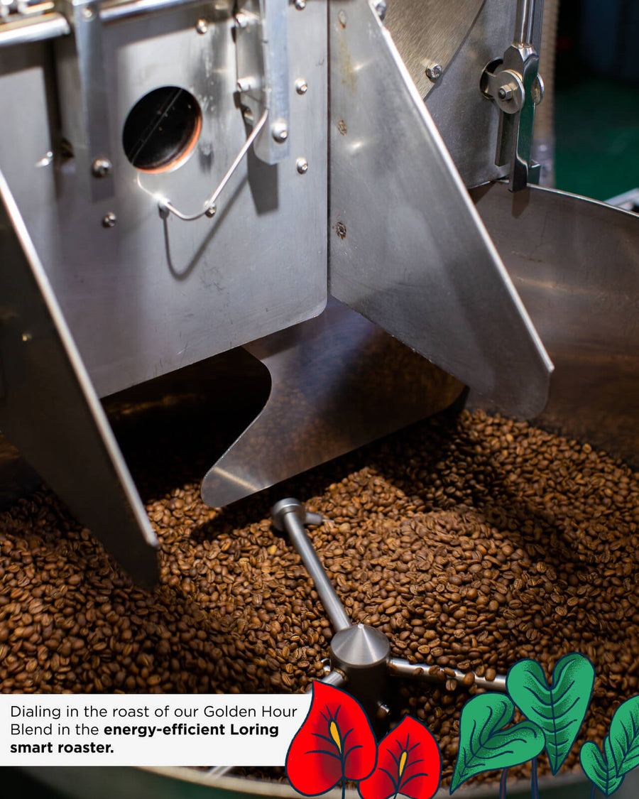 Golden Hour Blend | Equator Seasonal Coffee Blend | Equator Summer Coffee Blend | Equator Summertime Coffee Blend | Roasting Golden Hour Blend at the Equator Roastery | Equator Coffees