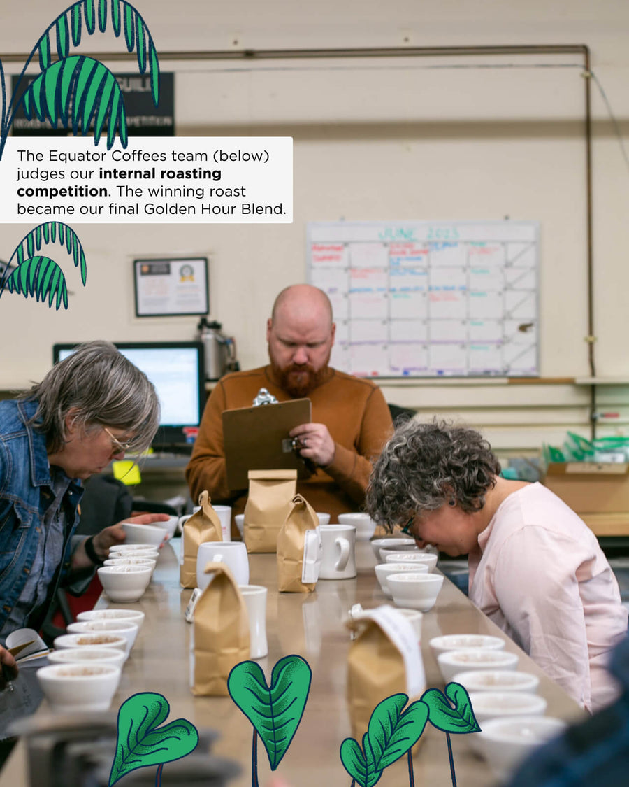 Golden Hour Blend | Equator Seasonal Coffee Blend | Equator Summer Coffee Blend | Equator Summertime Coffee Blend | Judging our coffee roasting competition | Equator Coffees