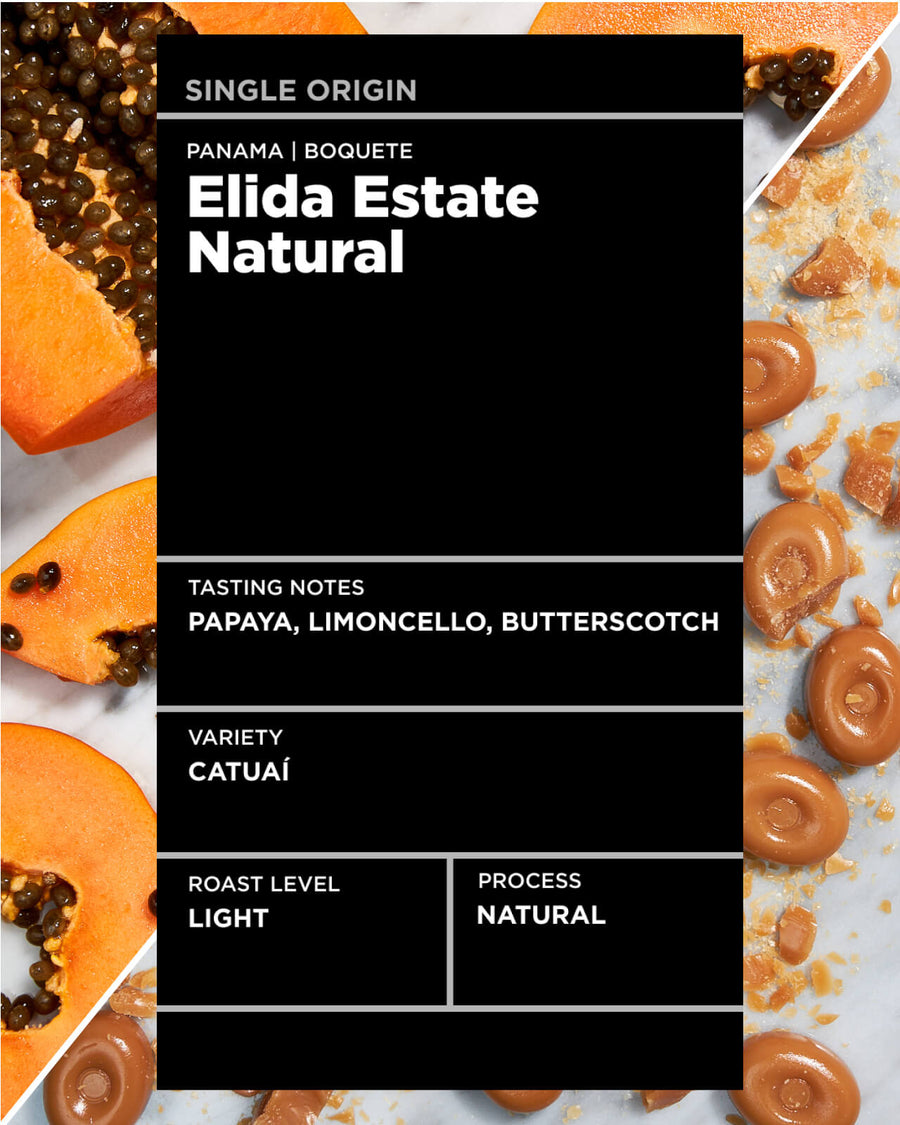 Panama Elida Estate Natural | Light roast single origin coffee | Equator Coffees