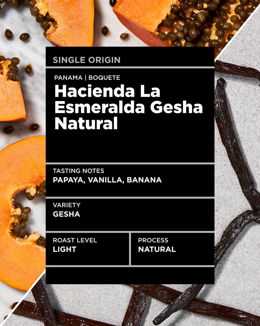 Panama Hacienda La Esmeralda Gesha Natural