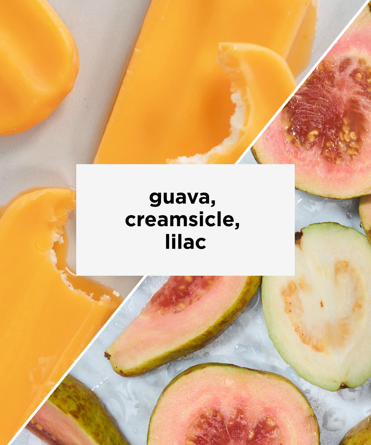 Peru Chirinos Gesha | Tastes like guava, creamsicle, lilac | Equator Coffees