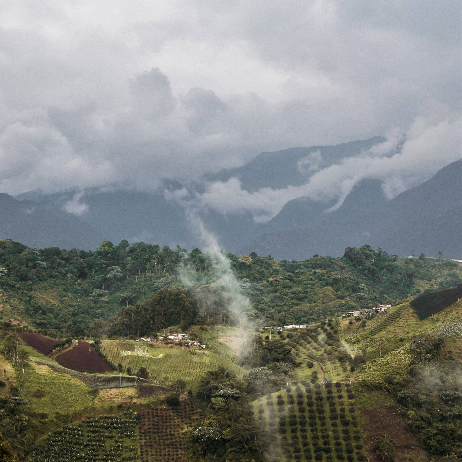 Colombia Jardines del Encanto | Equator Coffees