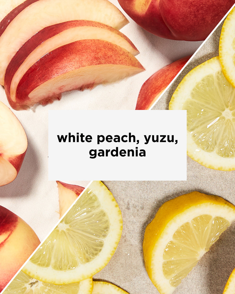 Costa Rica Puente Tarrazú Gesha