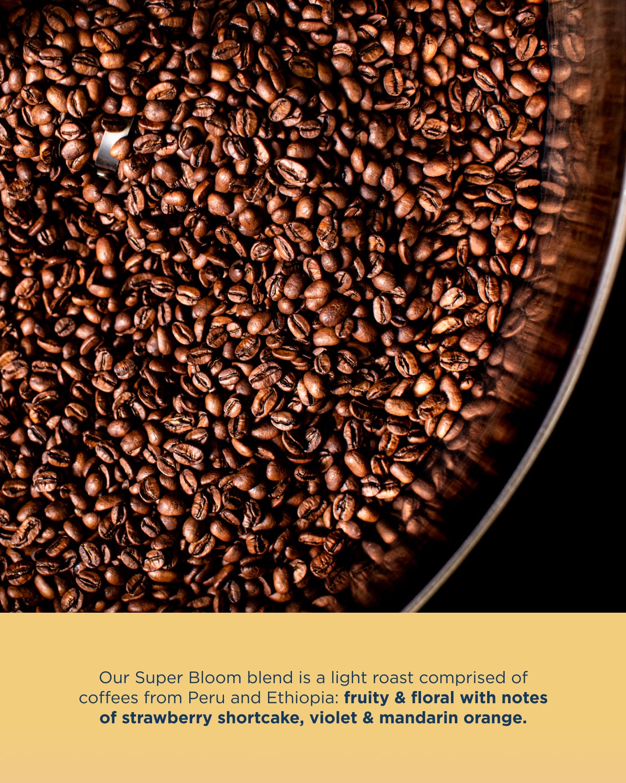 Our Super Bloom blend is a light roast comprised of coffees from Peru and Ethiopia: fruity & floral with notes of strawberry shortcake, violet & mandarin orange.