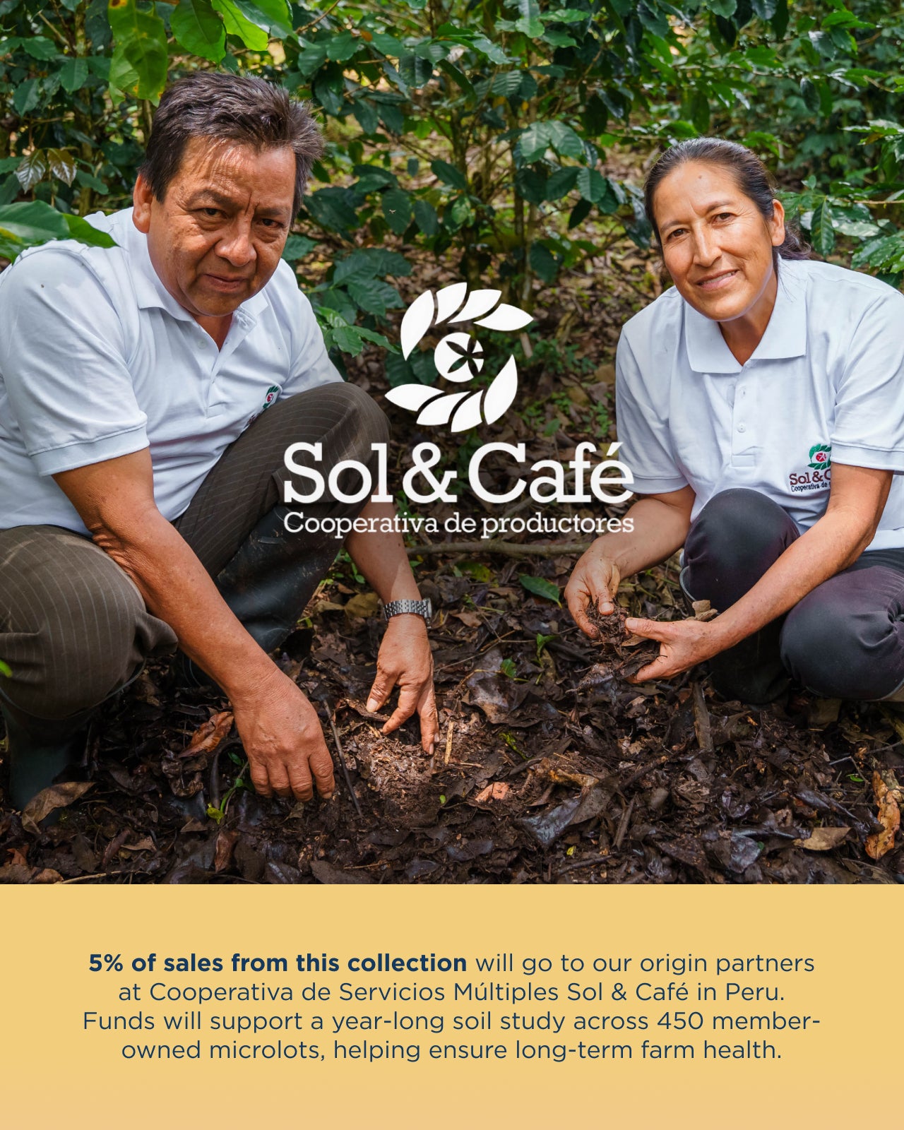 5% of sales from this collection will go to our origin partners at Cooperative de Servicios Múltiples Sol & Cafe in Peru. Funds will support a year-long soil study across 450 member-owned microlots, helping ensure long-term farm health. / Equator Coffees