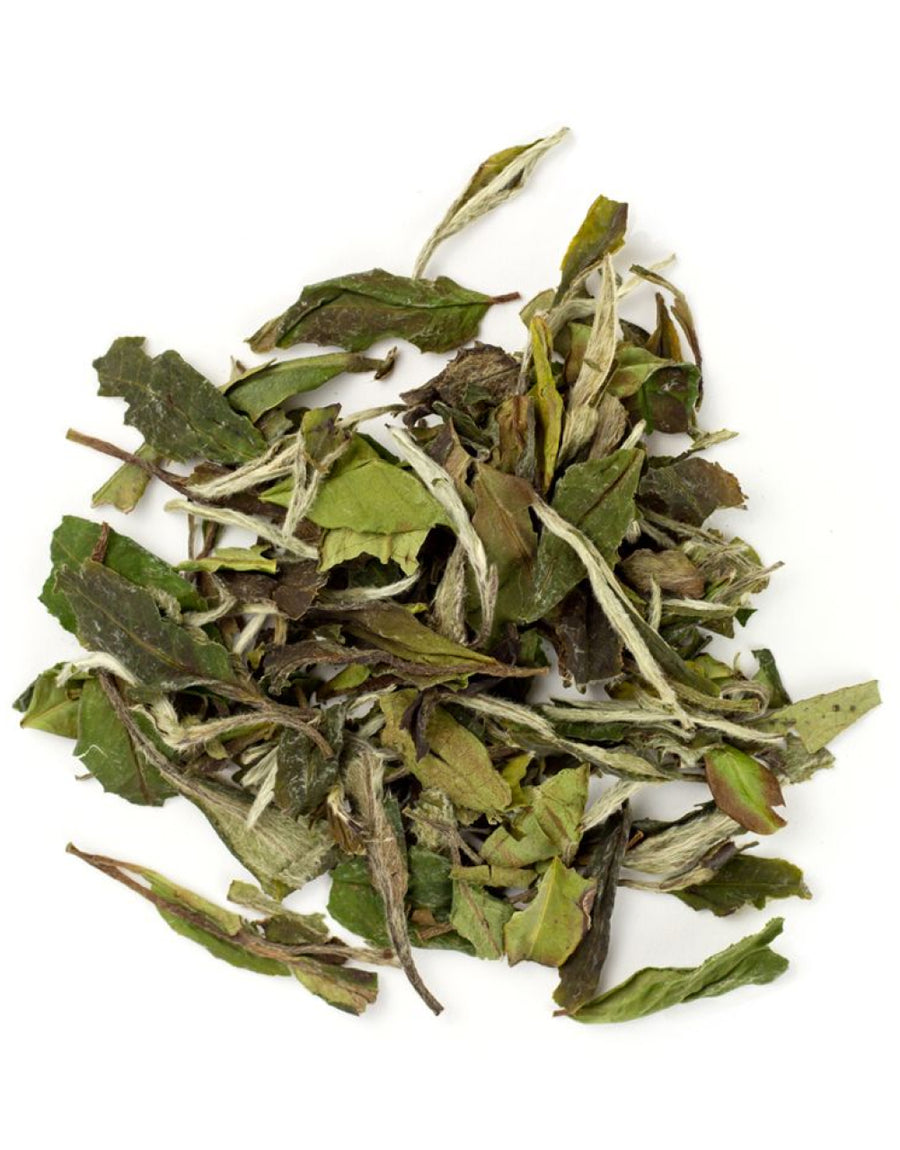 White Peony Loose Leaf Tea, 0.8oz