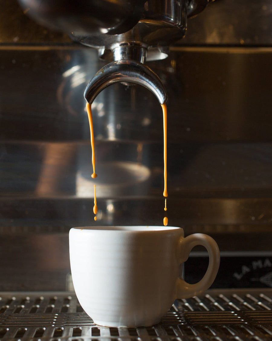 Decaf Espresso - Equator Coffees