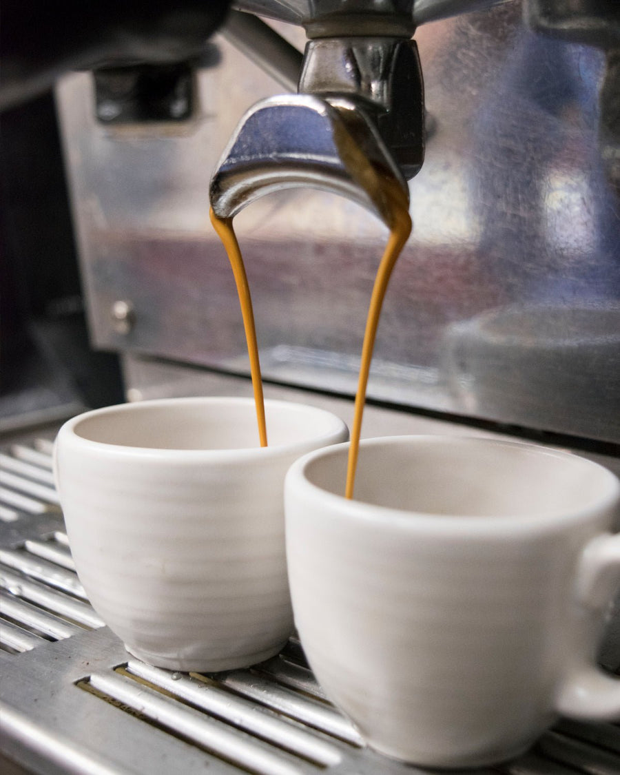 Jack the Bear Espresso - Equator Coffees